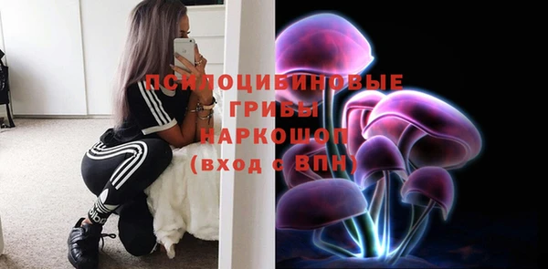 бошки Армянск