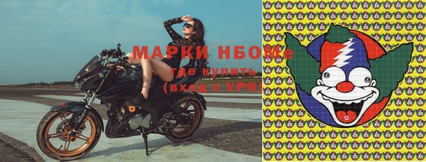 ГАЛЛЮЦИНОГЕННЫЕ ГРИБЫ Баксан