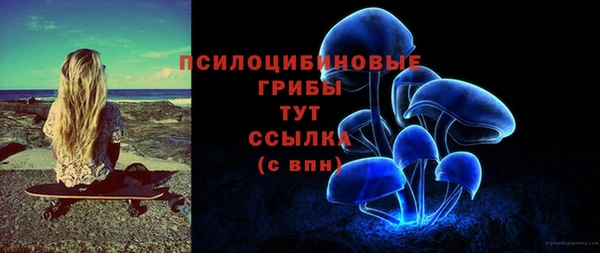 прущая мука Арсеньев
