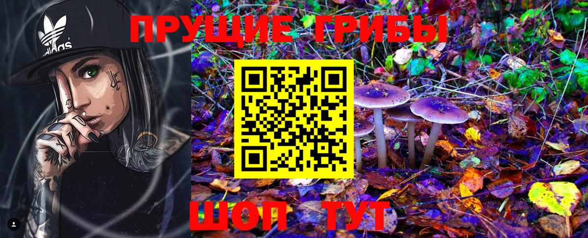 Псилоцибиновые грибы Psilocybine cubensis Кирово-Чепецк